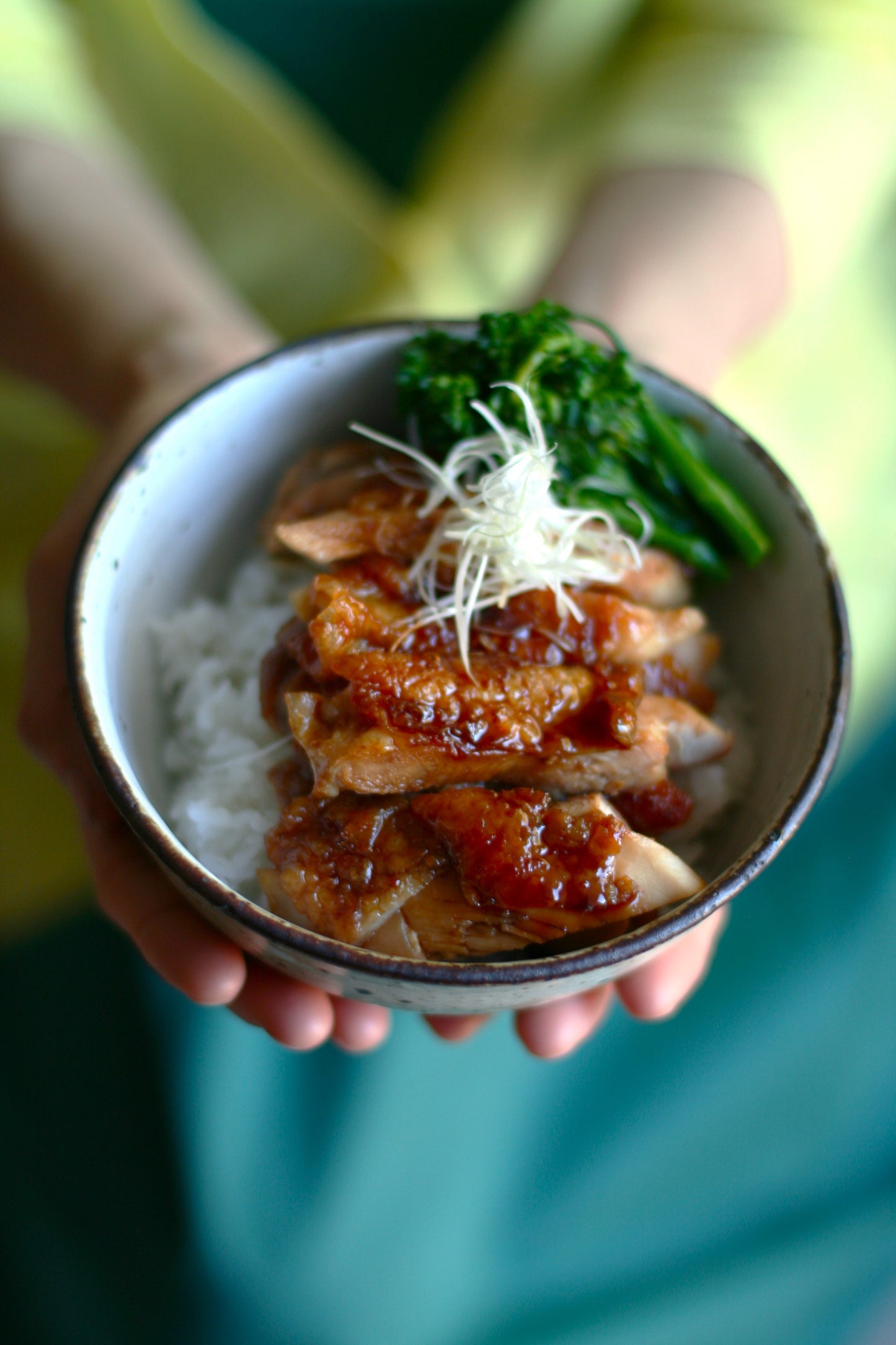 Japanese Teriyaki Sauce
